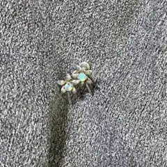 Item thumbnail for item b8aae59d-1464-47ee-8f70-2737a43006e8