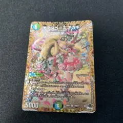 2025年最新】チアスペースアカネの人気アイテム - メルカリ