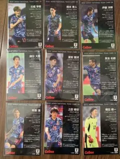 カルビー日本代表サッカーカード
