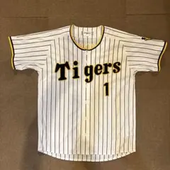 Item thumbnail for item 0d8e5f06-b73d-45d3-bd88-3189561f8af5