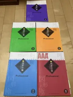 書き込みあり⭐︎図形の極 Professional 2級～10級セット(9級なし 