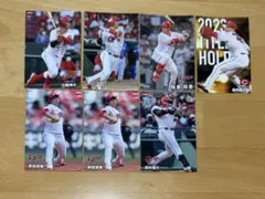 プロ野球チップス2026 スターカード 最多本塁打 7枚セット カープ