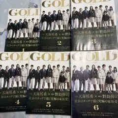 GOLD 完全版 全6巻DVDSET[レンタル用]天海祐希/長澤まさみ/武井咲