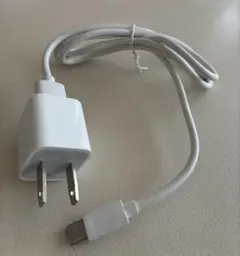 Apple 純正 USB-C 電源アダプタ 充電ケーブル