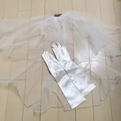 【リビエラにて購入】ウェディングベールとロンググローブセット