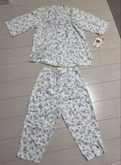 Item thumbnail for item 48b1b8ae-45e9-4df0-991f-2ce1df527ad0