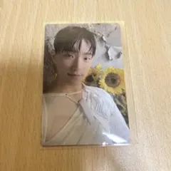 seventeen グローバル メンバーシップ kit トレカ ディノ