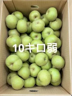 茨城県産　摘果梨　幸水梨（加工用）箱込み約10キロ弱のサムネイル