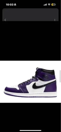 AIR JORDAN 1 RETRO HIGH OG COURT PURPLE