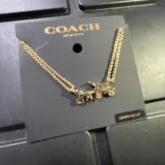 COACH コーチ ネックレス レザー紐 革紐 ホイッスルつき - メルカリ