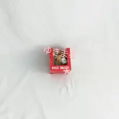 今市隆二 ぬいぐるみキーホルダー