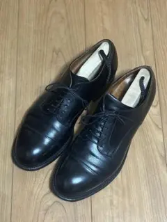 alden 54401タンブラウンvチップ9.5DModifiedモディファイド - メルカリ