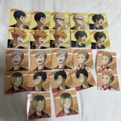 ハイキュー！！劇場版ゴミ捨て場の決戦　アニメイト　特典　ビジュアルカード