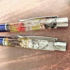 ハーバリウムボールペン 2本セット マルチカラー×ナチュラル 推し活 ギフト