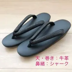 Item thumbnail for item 384916bf-3c83-411b-a167-f3ece3b6cbc1