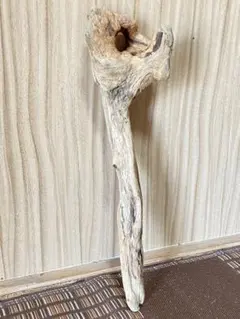 Takanori H様 リクエスト 2点 まとめ商品