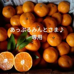 あっぷるみんとさま♪専用ページ