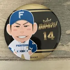 北海道日本ハムファイターズ DOMIれ！ 缶バッジ #5 野村佑希 - メルカリ