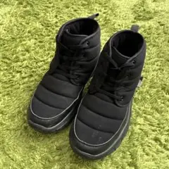 Item thumbnail for item d5746e65-9bce-4371-909c-263b75bb08d2