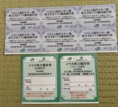 お得❣️ JR東日本株主優待割引券　ガーラ湯沢スキー場　コラボ宿泊優待券　他