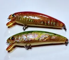 2026年最新】アワビ貼りの人気アイテム - メルカリ