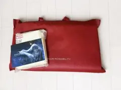 BRAIN SLEEP PILLOW ピローカバー付きのサムネイル