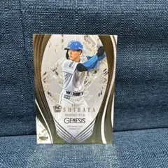 2026年最新】柴田獅子の人気アイテム - メルカリ