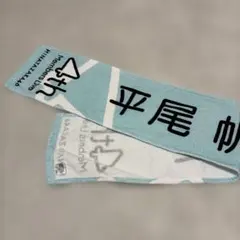 日向坂46 平尾帆夏 ポストカード ゼンブオブトーキョー 入場特典