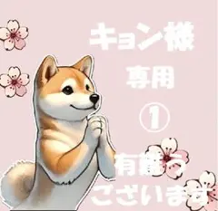 【キョン様　専用　①】