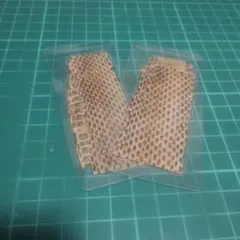 【即購入◎】蛇の脱皮殻のラミネート 【2枚セット】のサムネイル