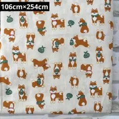 Item thumbnail for item ddca8d36-8d3d-4bc5-8567-5c3806434db0