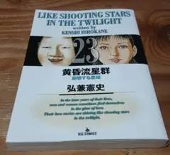 黄昏流星群 23巻 弘兼憲史 ビッグコミックス