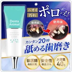 [새제품] 덴타 애니멀 강아지 및 고양이 치약 젤 40g 덴탈케어