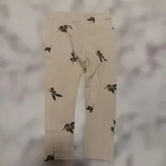 Oraganic Zoo 1-2Y