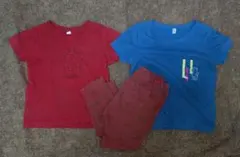 90-95cm Tシャツ てんとう虫とクマのプリント