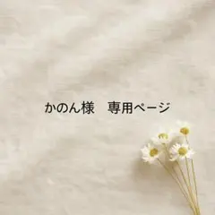 かのん様 リクエスト 3点 まとめ商品