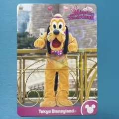 【即日発送】ミニパル　ファンダーランド　コレクションカード　プルート