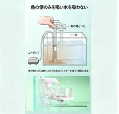Rinonさま専用となりました レクスエア社 Rainbow レインボー - メルカリ