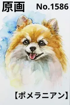 【ポメラニアン】手描きイラスト 原画《1586》