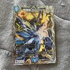 飛翔龍5000VT フライングブイ5000ブイティー - メルカリ