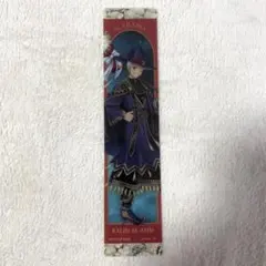 ツイステ　カリム　クリアしおり　ブルームバースデー　アニメイト　特典　フェア