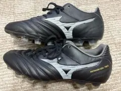 モナルシーダネオ 25cm