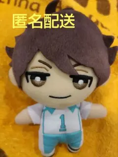 ハイキュー ともぬい vol.1 及川徹