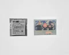 SPY×FAMILY 大阪万博特典 トレーディング缶バッジ