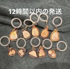 すみっコぐらし アクリルチャーム10個セット　コンプセット　めじるしチャーム