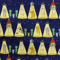 コットンこばやし 猫