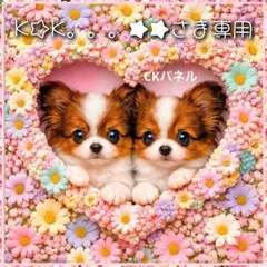 【受注制作】両面巾着袋(裏地あり)(9/8)