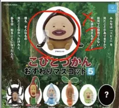 こびとづかん おすわりマスコット5 アマクリソツ 2個セット