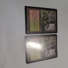 MTG Wooded Foothills 樹木茂る山麓 日本語版 2枚セット