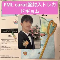【トレカ】SEVENTEEN ドギョム　FML carat盤　DK